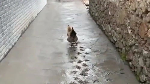 水泥地
